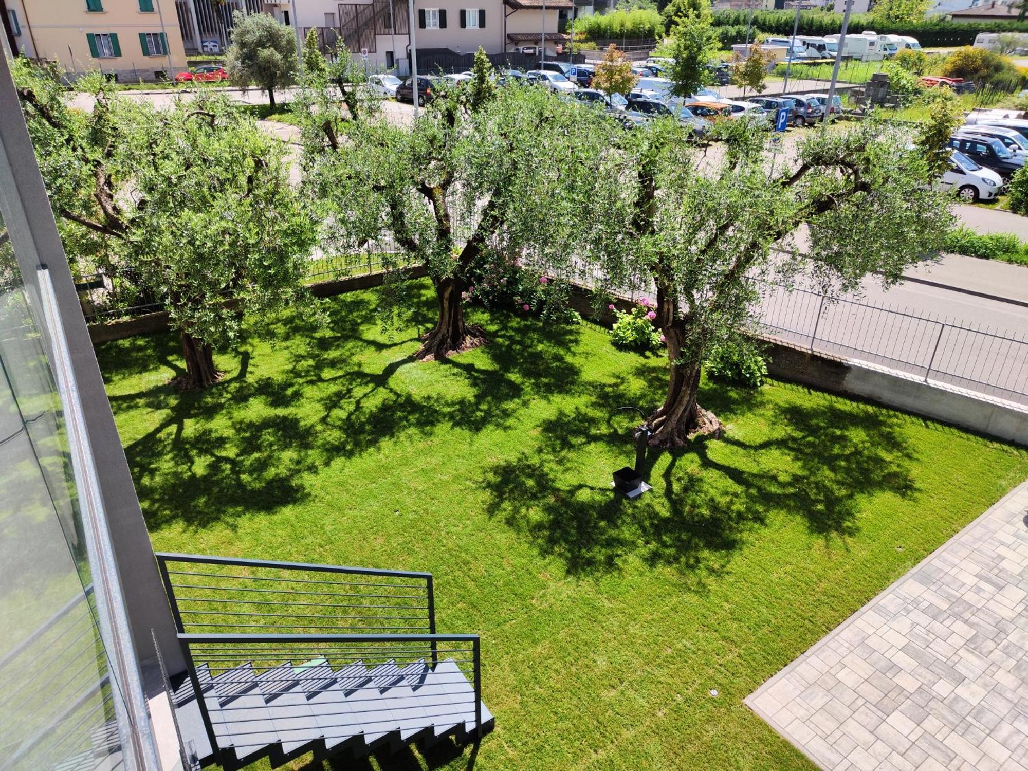 Oasi Degli Ulivi Daire Riva del Garda Dış mekan fotoğraf