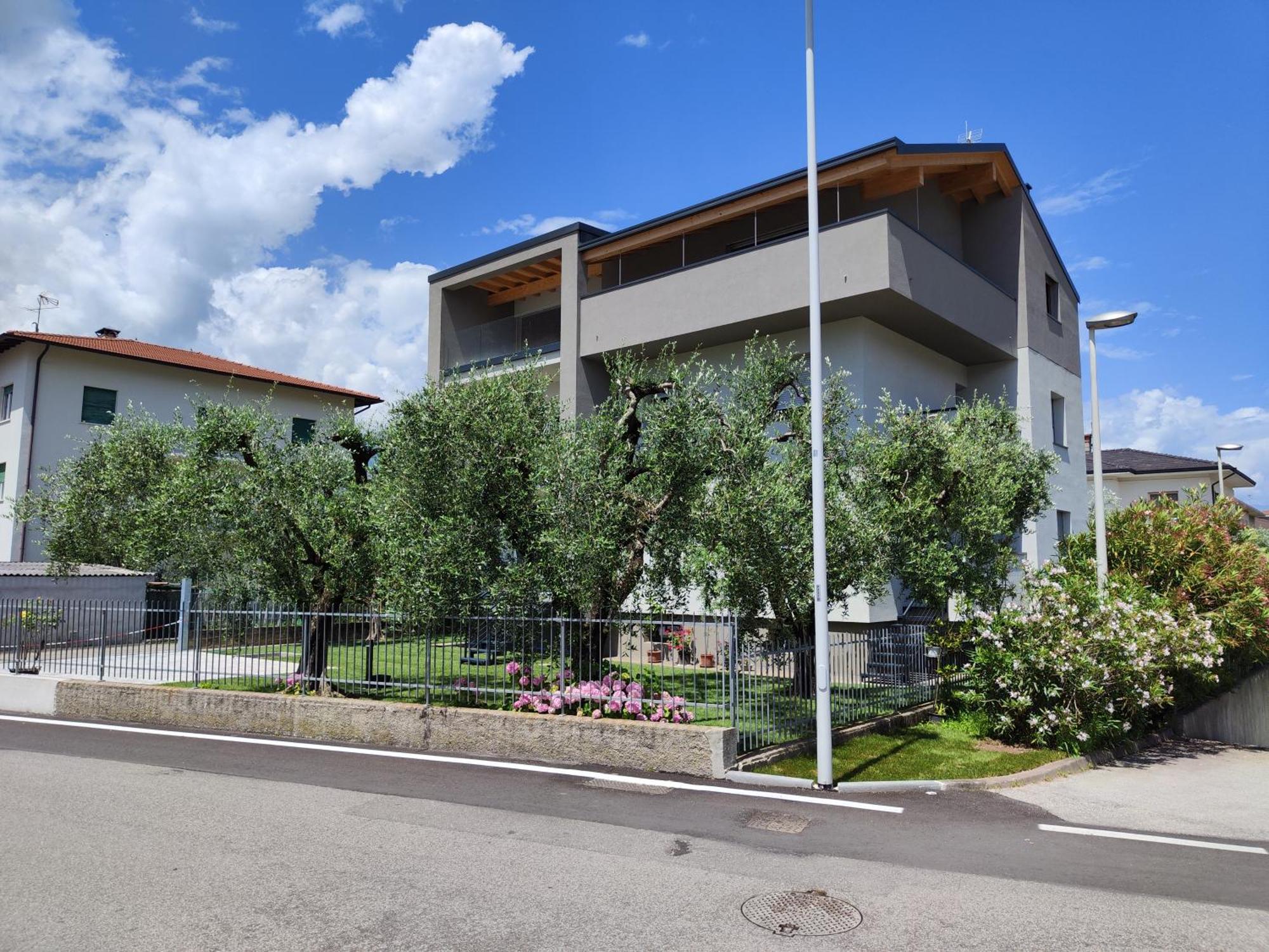 Oasi Degli Ulivi Daire Riva del Garda Dış mekan fotoğraf