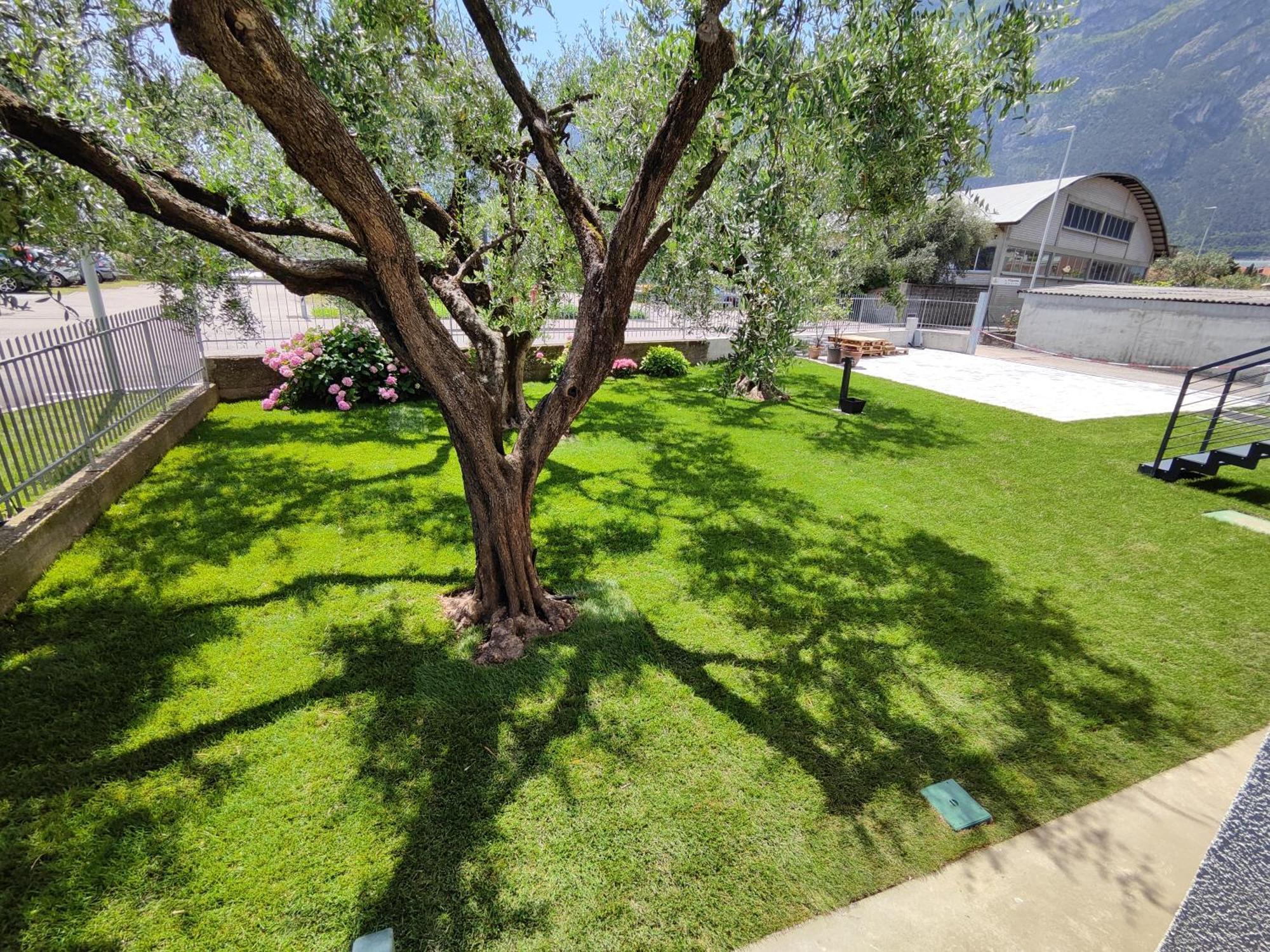 Oasi Degli Ulivi Daire Riva del Garda Dış mekan fotoğraf