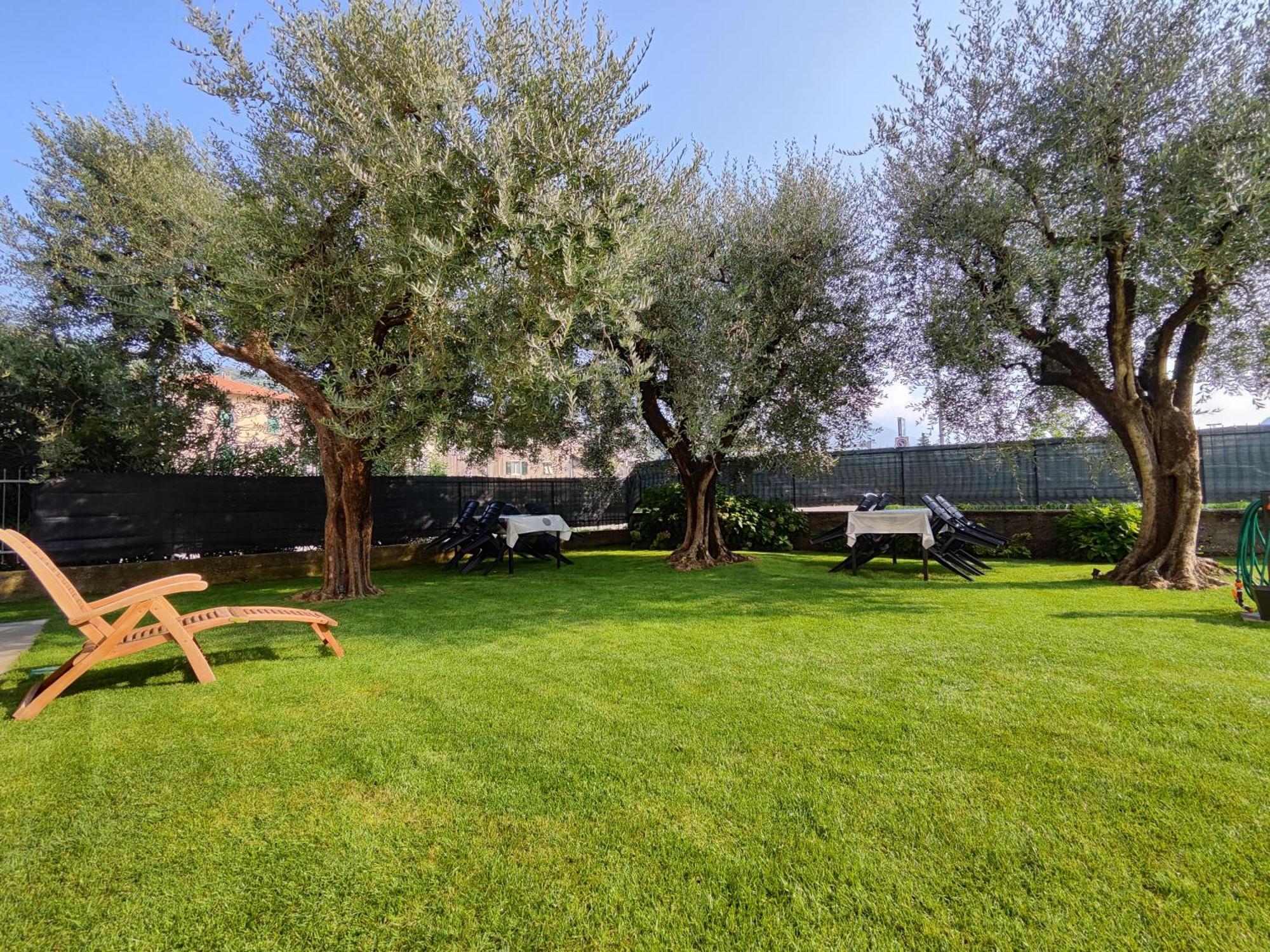 Oasi Degli Ulivi Daire Riva del Garda Dış mekan fotoğraf
